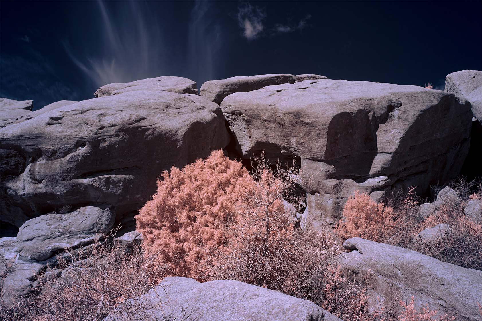 Moonside — pink trees rock outcrop teal sky Colorado