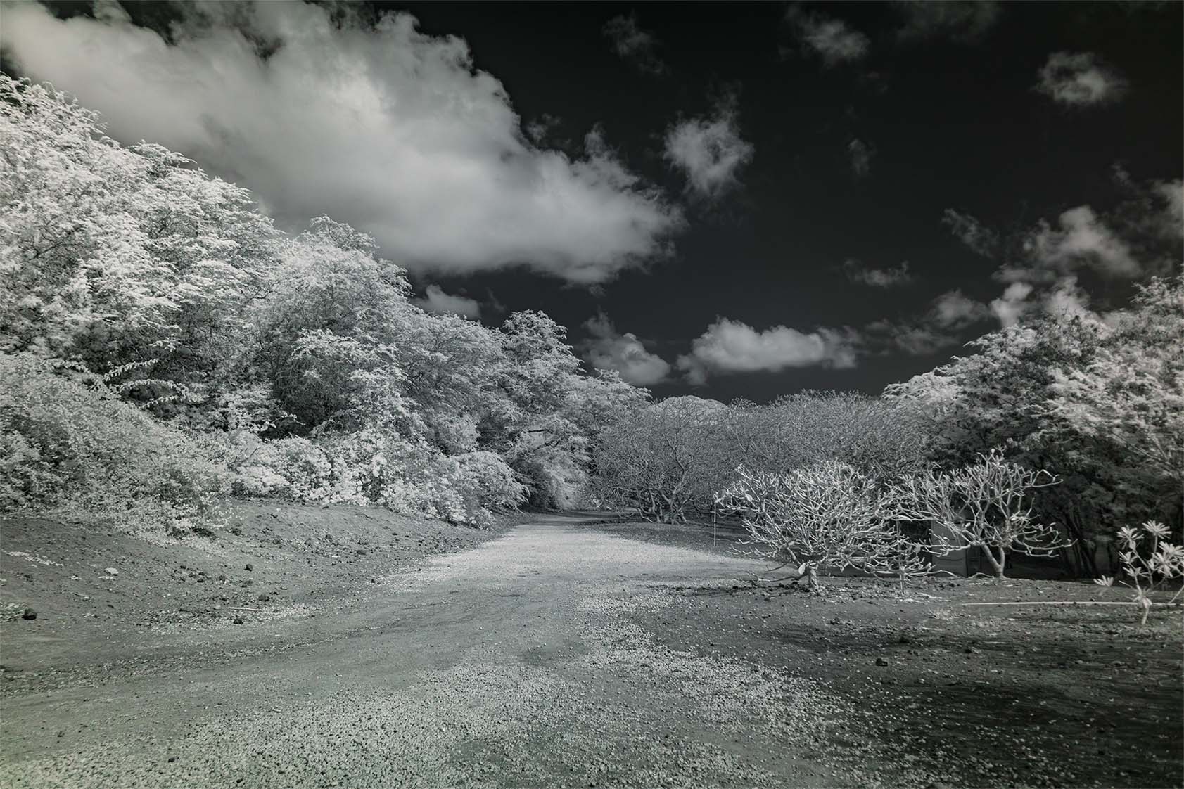 Moonside — Hawaii highway infrared golden hills dark sky