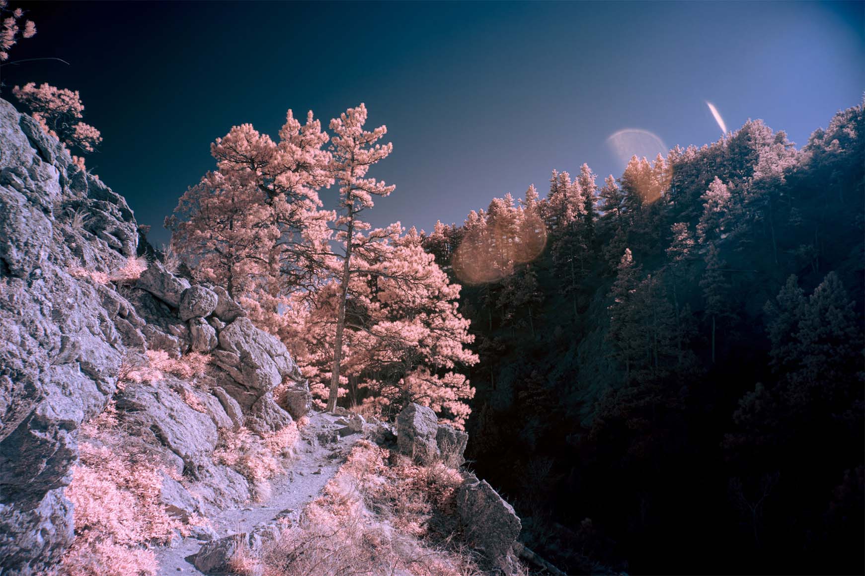Moonside — grey building white foliage infrared