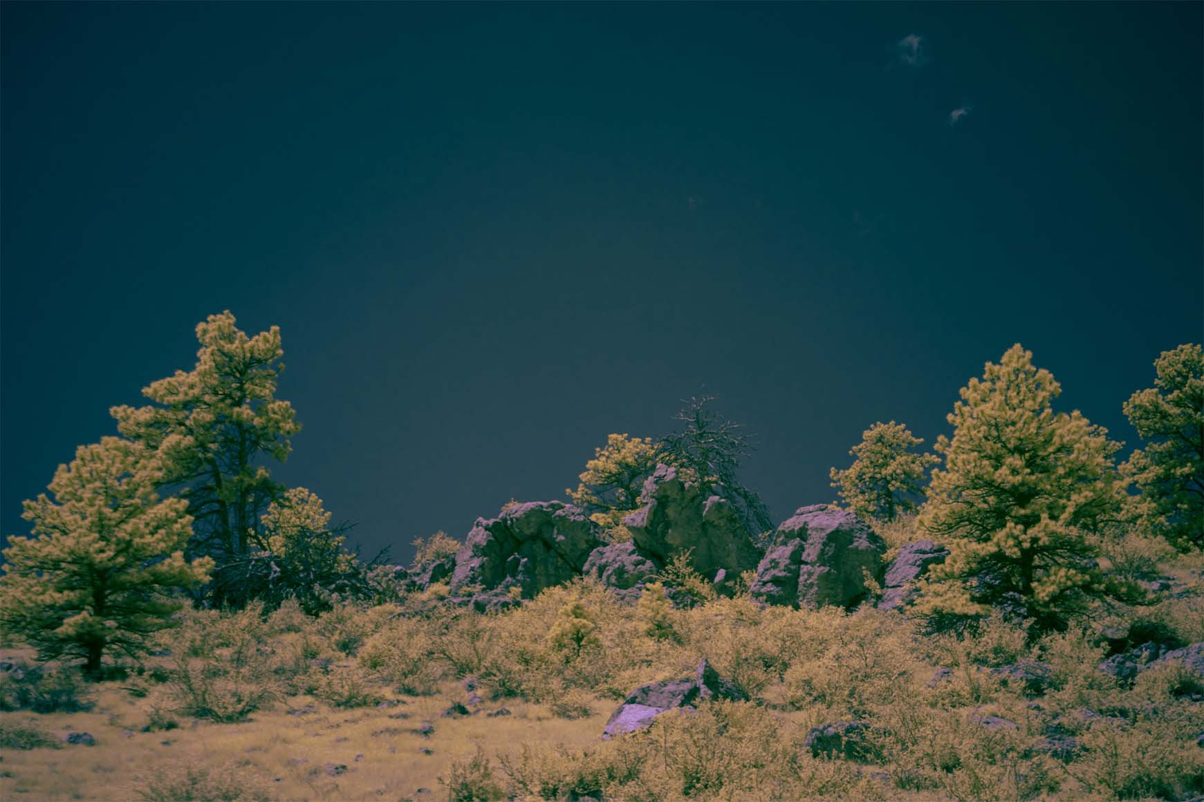 Moonside — sepia infrared snow plain dirt road flat horizon