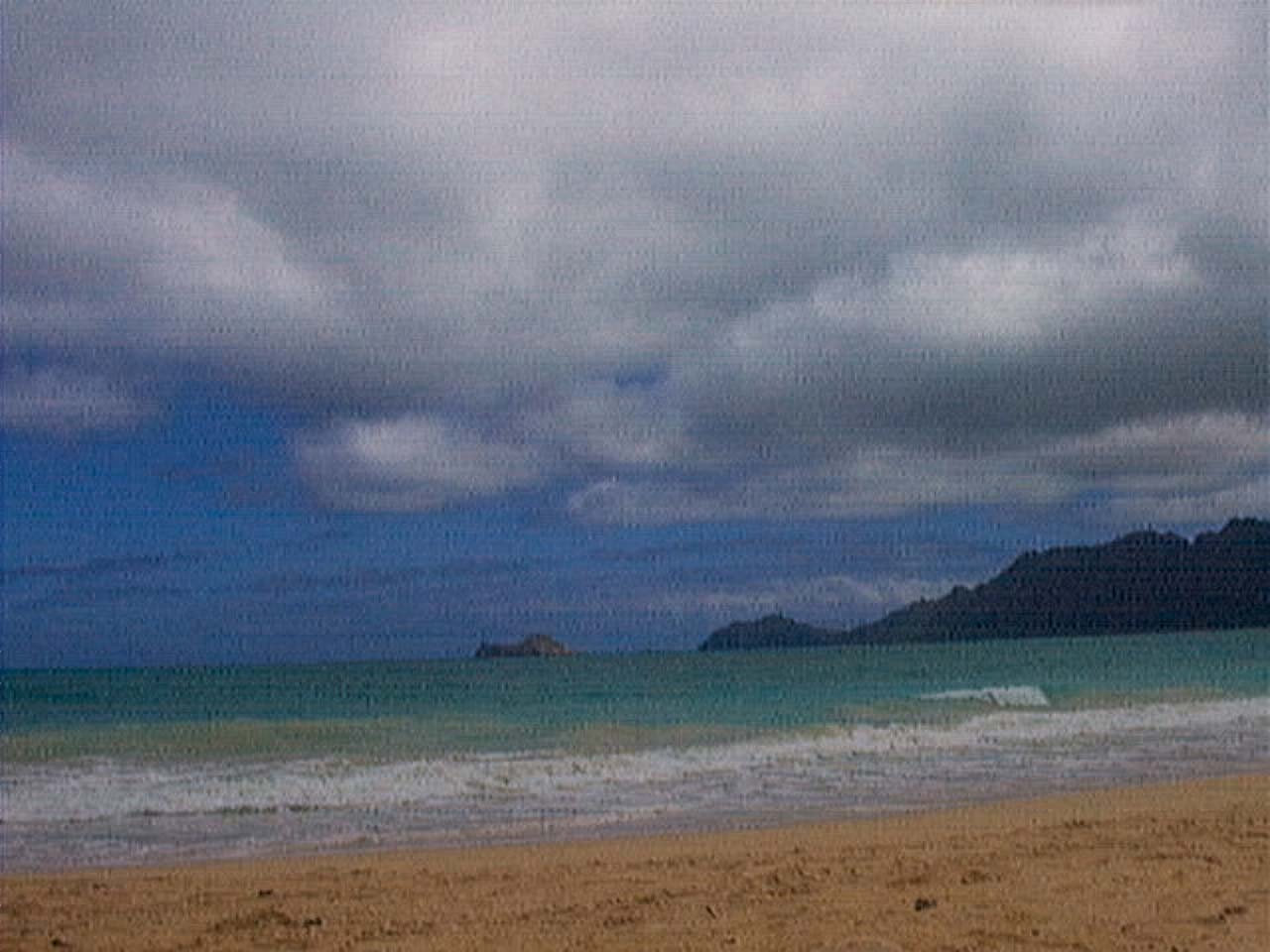 QuadraCam — ancient tree trunk ocean island