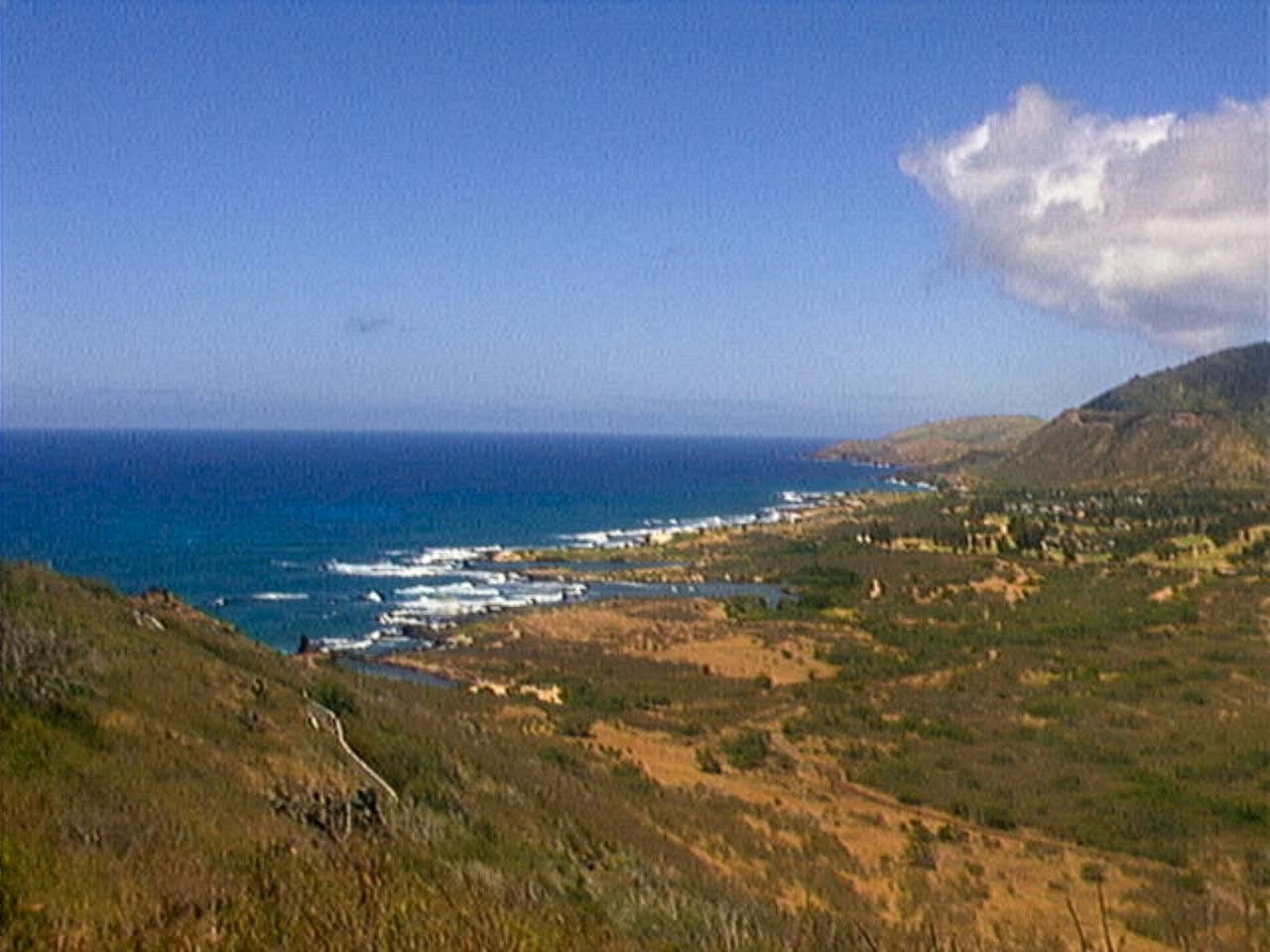 QuadraCam — Hawaii leeward coast aerial golden hillside
