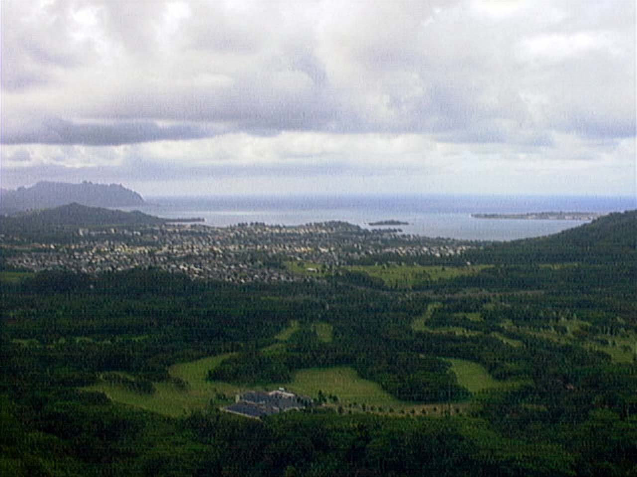 QuadraCam — Hawaii aerial green suburb ocean horizon