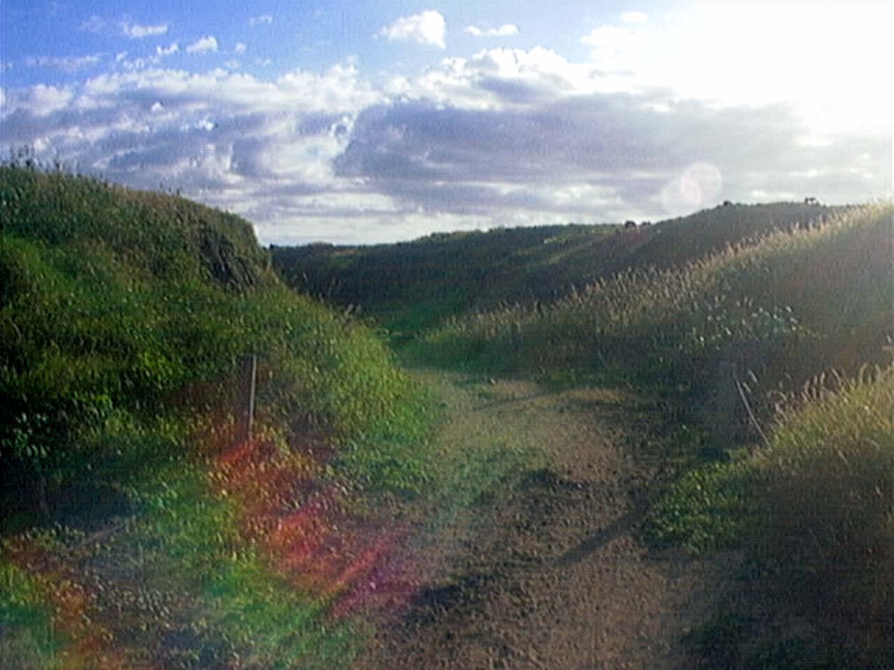 QuadraCam — purple band motion blur small venue