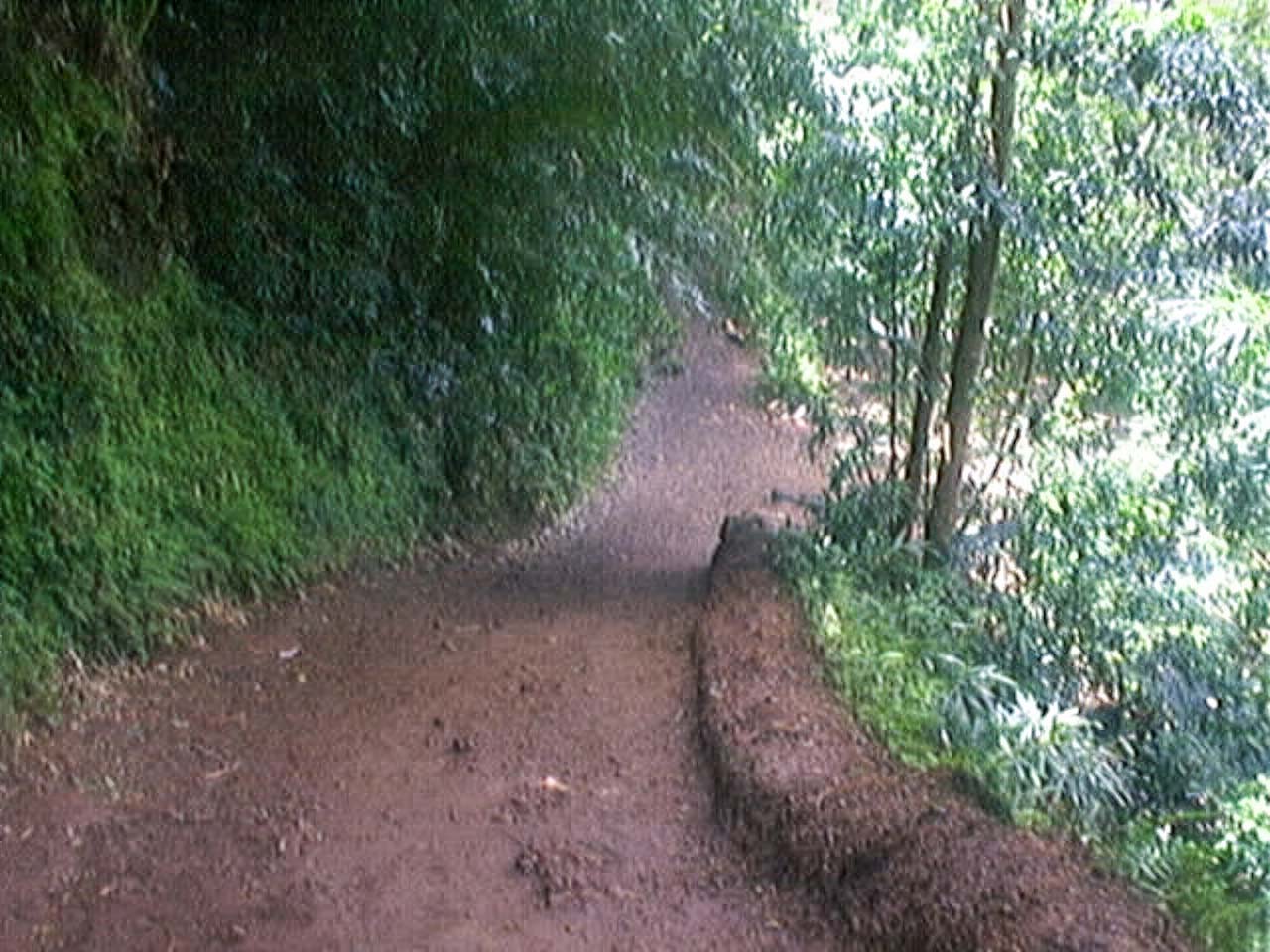 QuadraCam — street art mural orange teal faces