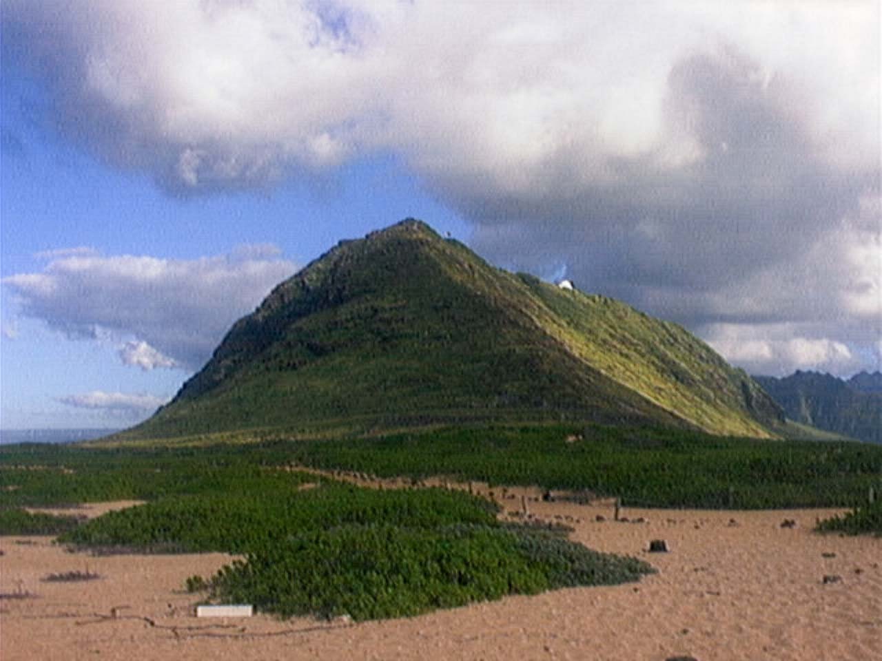 QuadraCam — guitar pedals glowing red LEDs dark