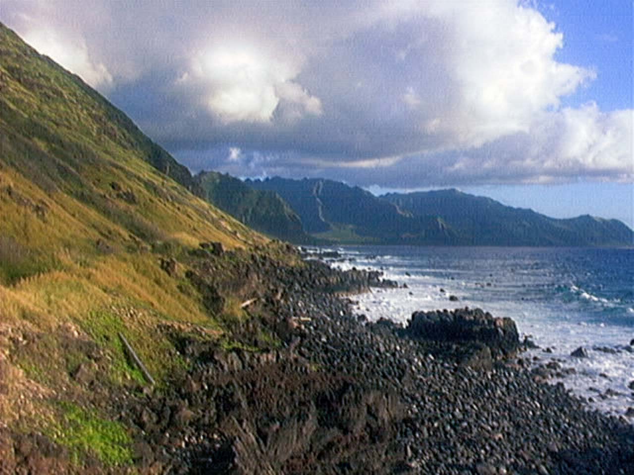 QuadraCam — Hawaii lava coast closeup green hills