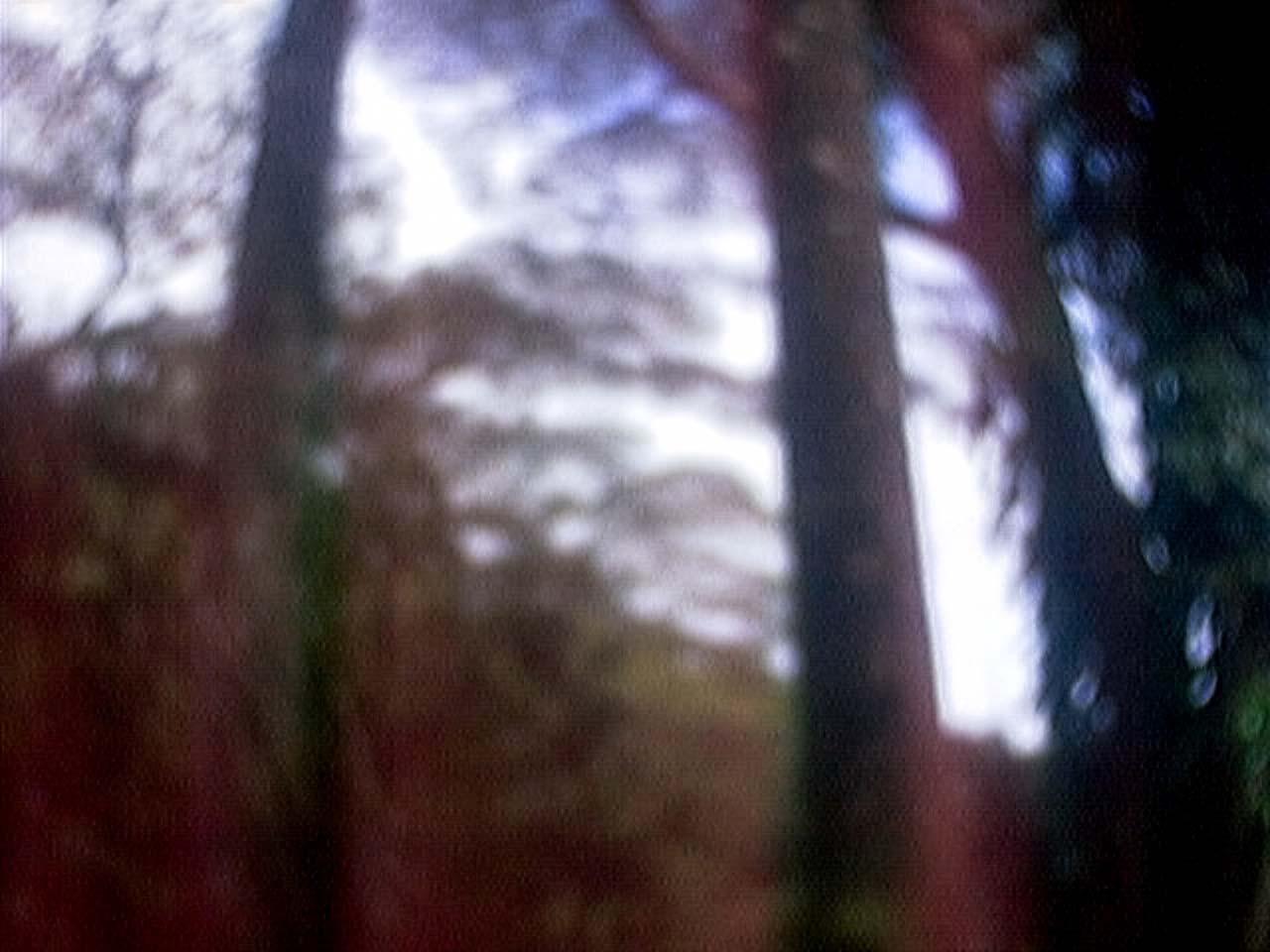 QuadraCam — valley vista through mountain notch misty