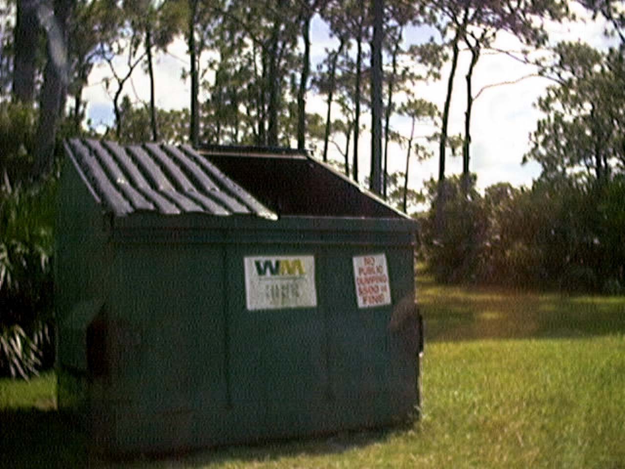 QuadraCam — green dumpster Florida pines golden light