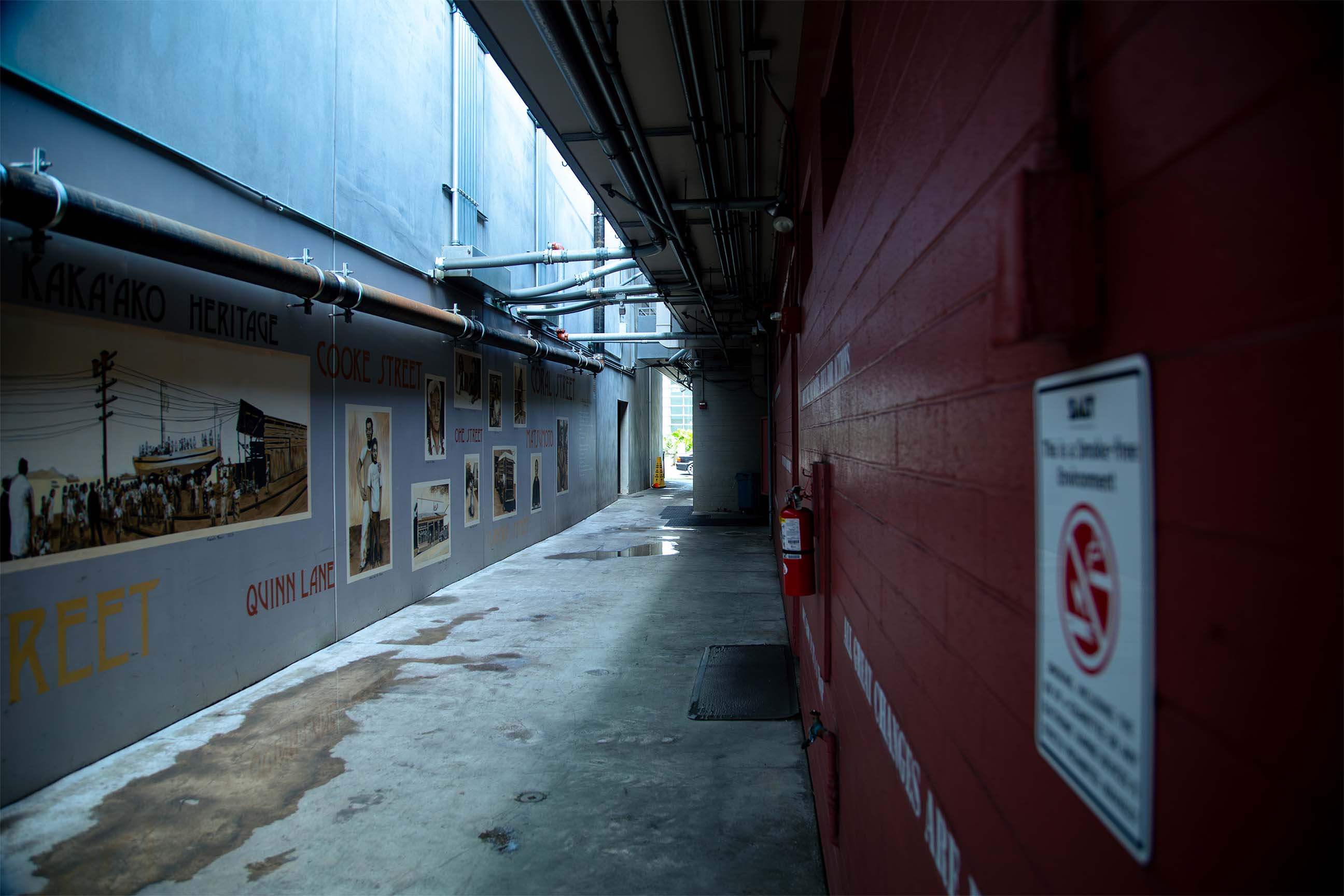 Summers — golden sunset palm silhouette lagoon
