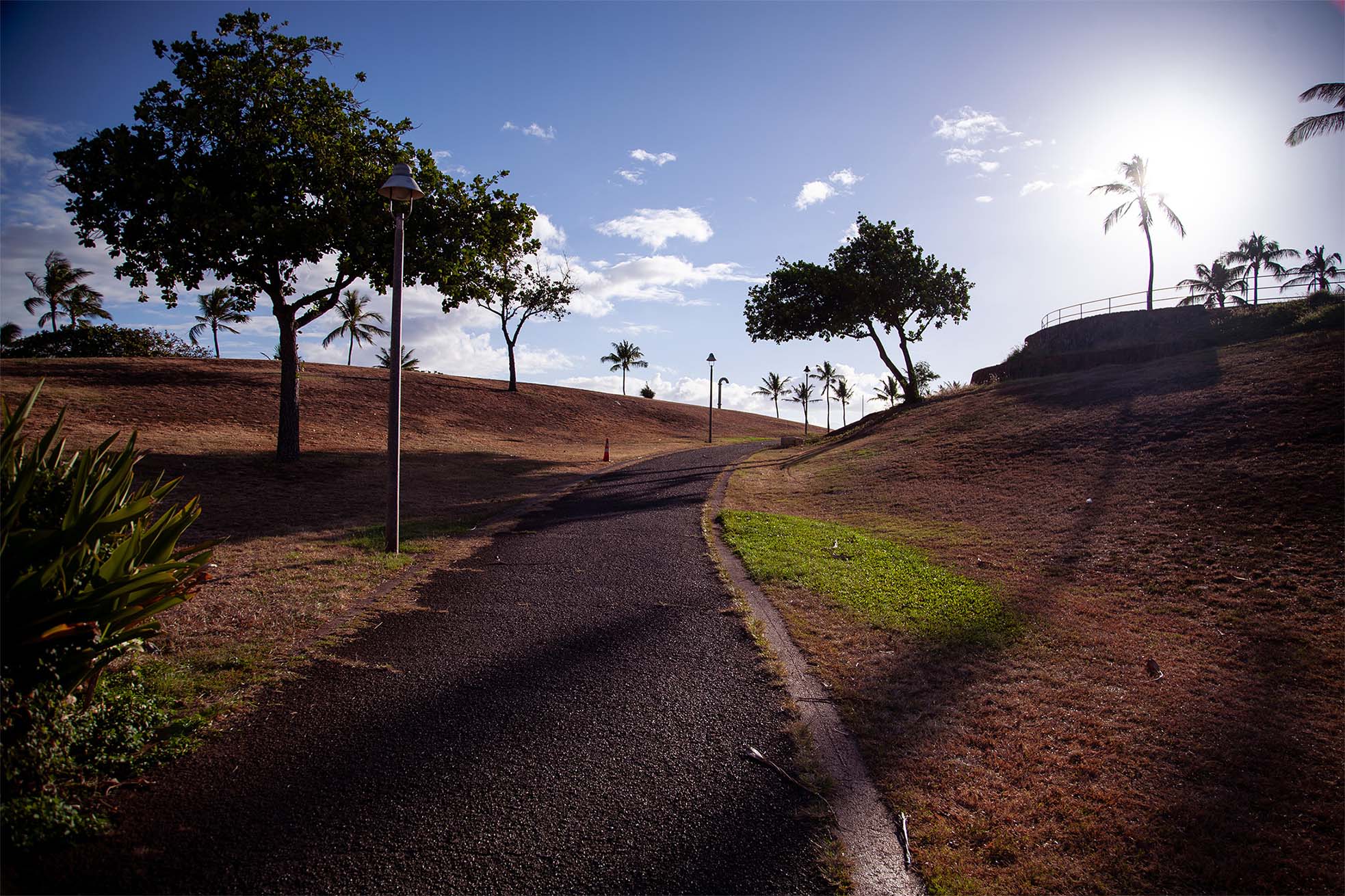 Summers — shipping containers graffiti Honolulu skyline