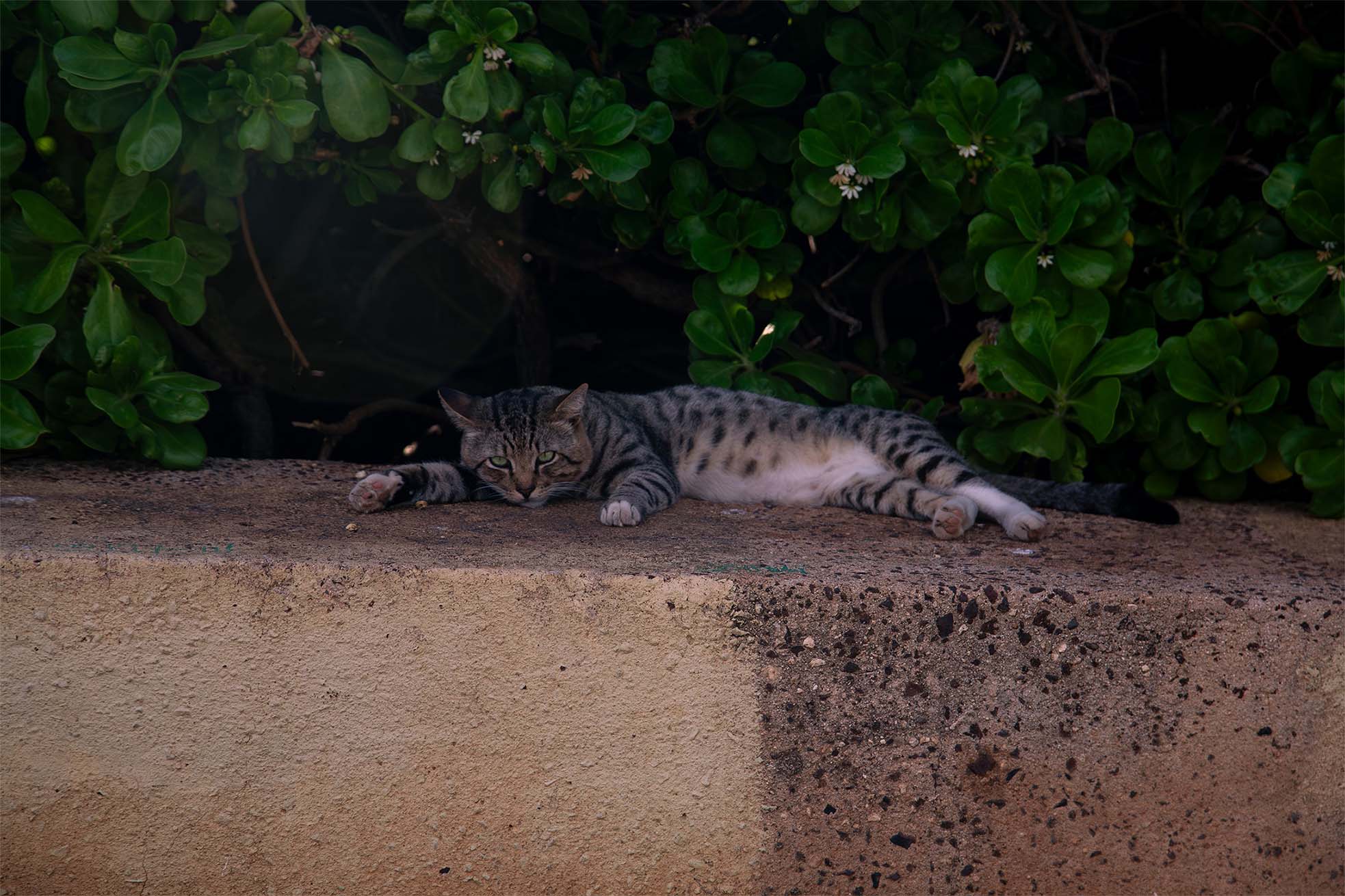 Summers — glass tower facade balconies blue sky reflections