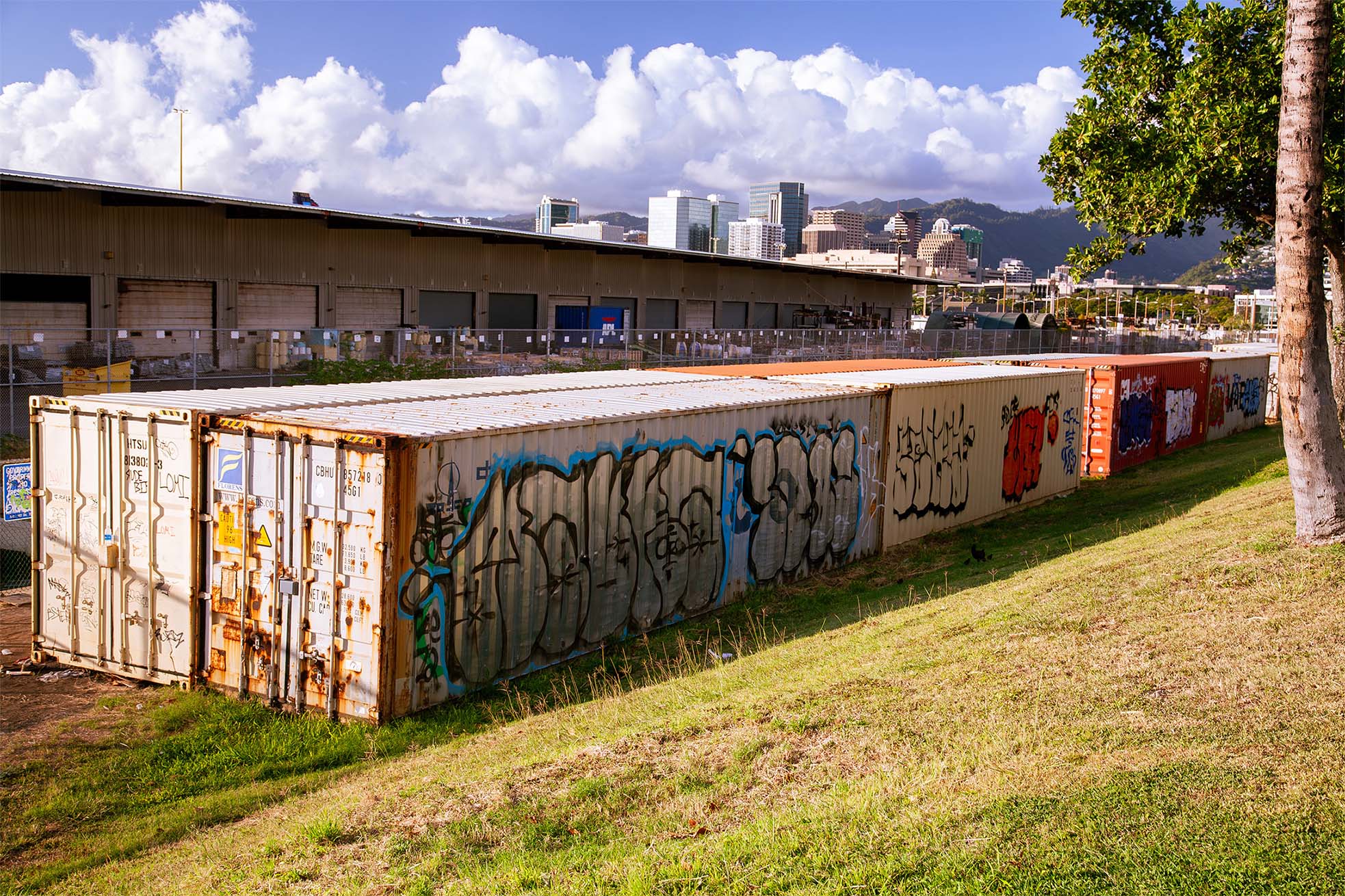 Summers — Kakaako heritage corridor alley pipes mural