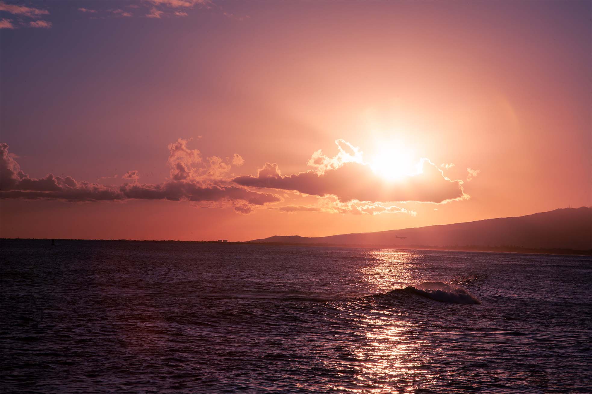 Summers — park path lamp poles palms sun flare