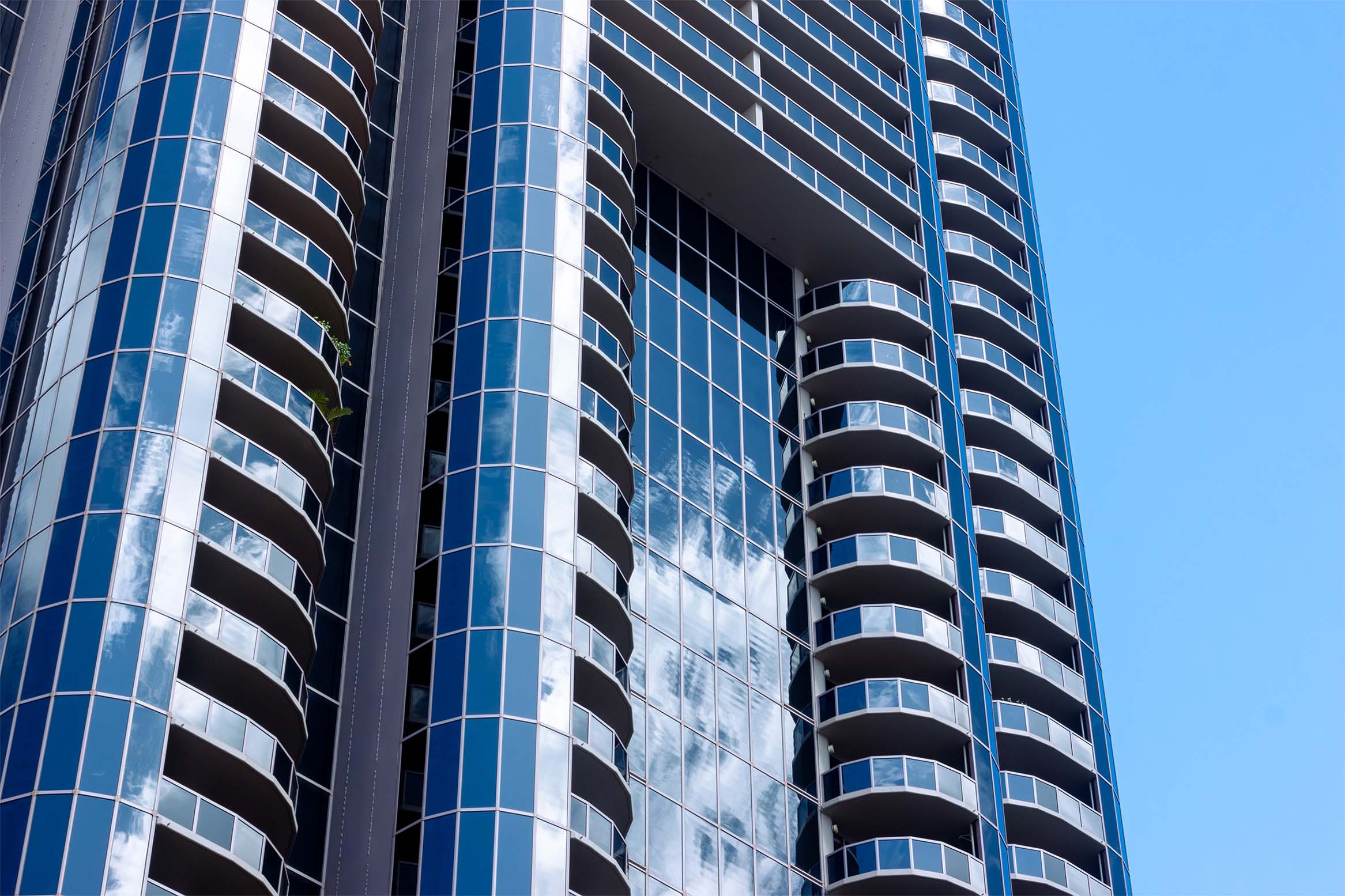 Summers — Kakaako Waterfront Park entrance palms